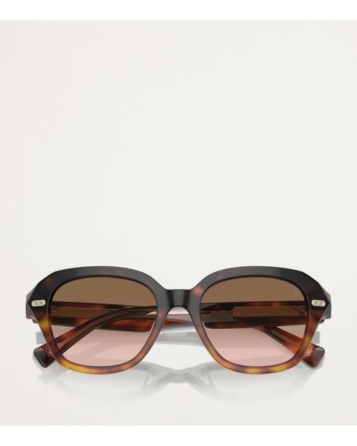 Brunello Cucinelli Brown Titanium Bc4004S Sunglasses