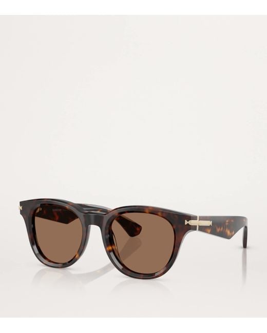 Burberry Brown Acetate Round Sunglasses for men