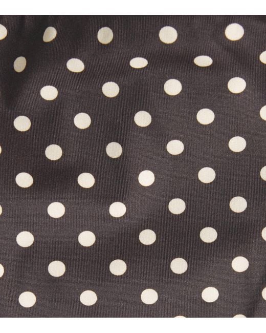 Matteau Brown The String Polka Dot Bikini Bottoms