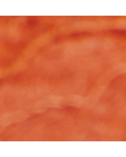 Wolford Orange Lace Floral Bodysuit