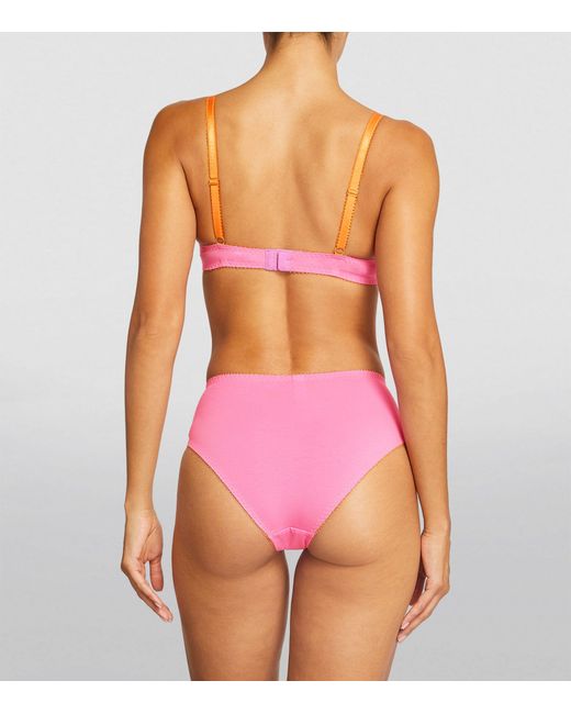 Dora Larsen Pink Millie High-waist Briefs