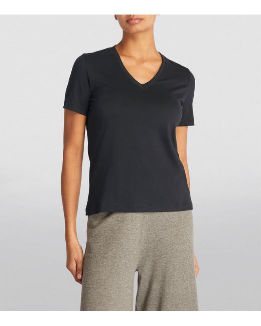 Falke Black V-Neck T-Shirt