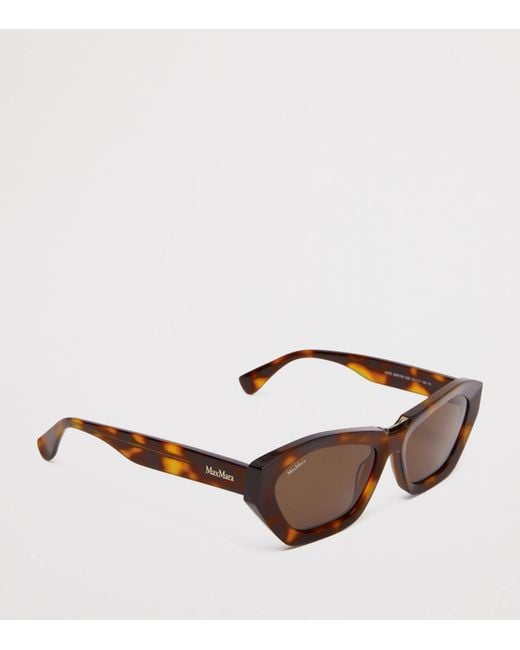 Max Mara Brown Acetate Bold Sunglasses
