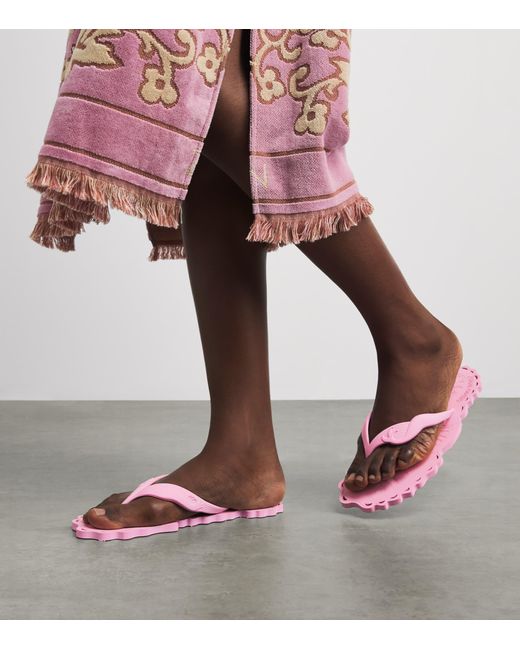 Zimmermann Pink Seafoam Flip Flops