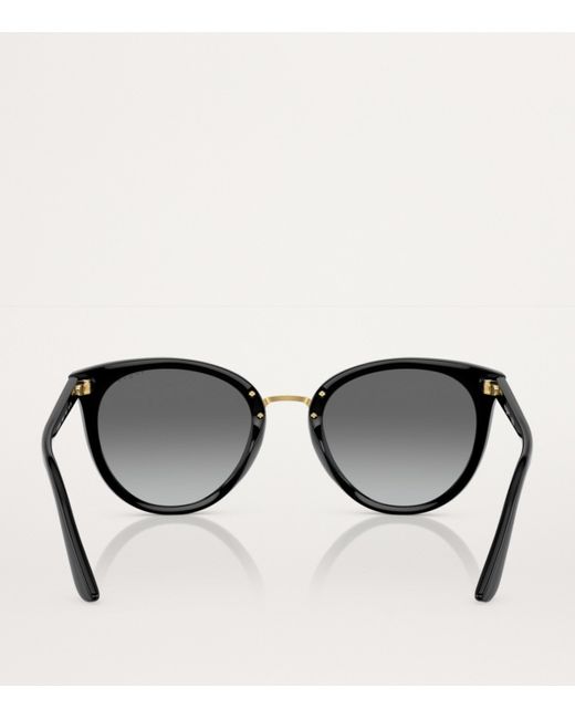 Vogue Brown Nylon 0Vo5230S Sunglasses