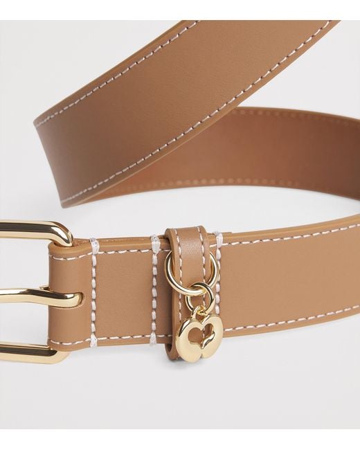 Maje Brown Leather Miss M Belt