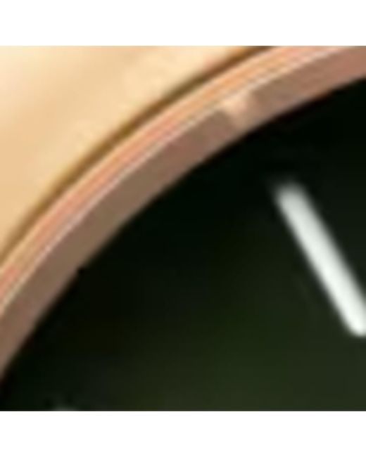 Panerai Metallic Luminor Due Watch for men