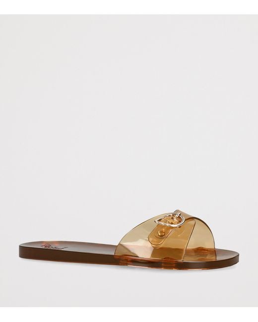 Ancient Greek Sandals Brown Jelly Filia Sandals