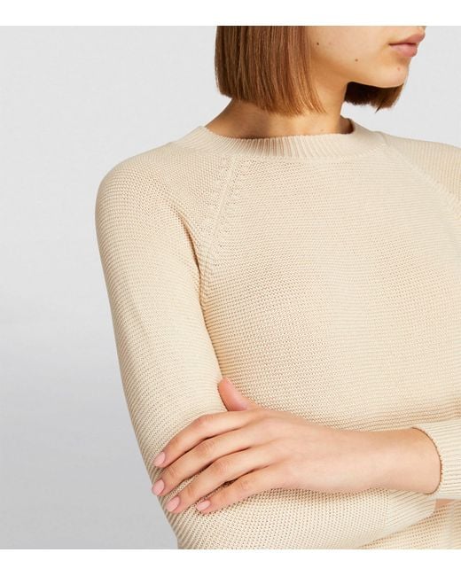 Weekend by Maxmara Natural Cotton Crew-neck Sweater