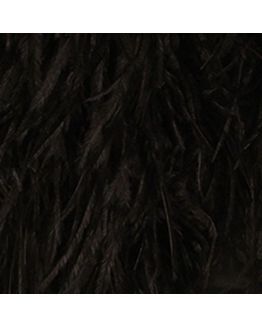 Dolce & Gabbana Black Feather Gilet