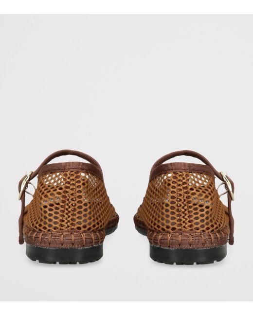 Flabelus Brown Mesh Isabella Ballet Flats