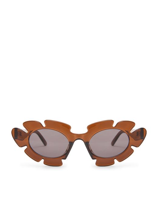 Loewe Brown X Paula's Ibiza Flower Sunglasses