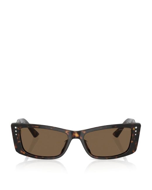 Jimmy Choo Brown Acetate Jc5002Bu Sunglasses