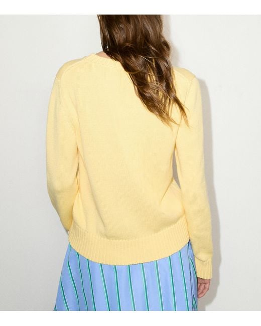 MAX&Co. Yellow Cotton Slogan Sweater
