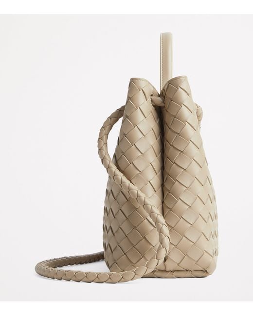 Bottega Veneta Natural Medium Leather Andiamo Shoulder Bag