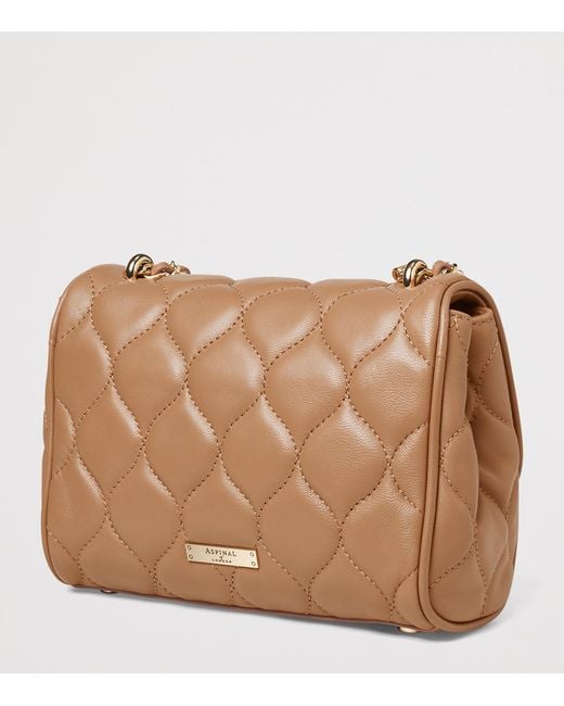 Aspinal Brown Small Leather Lottie Cross-Body Bag