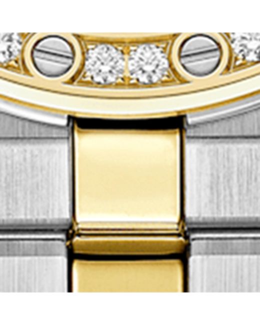 Chopard Metallic And Stainless Steel Alpine Eagle Watch