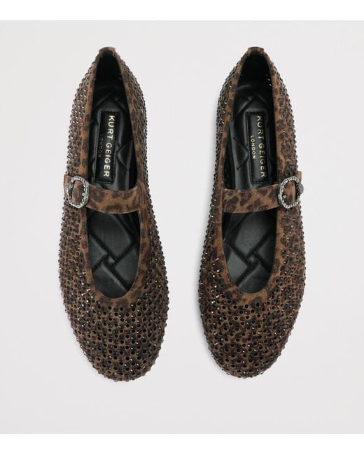 Kurt Geiger Brown Suede Embellished Mayfair Ballet Flats