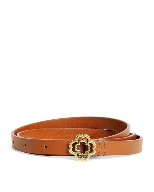 Maje Brown Leather Logo Thin Belt