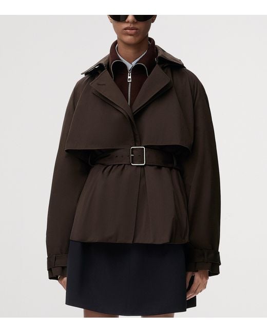 Loewe Brown Cotton Belted Short Trench Coat