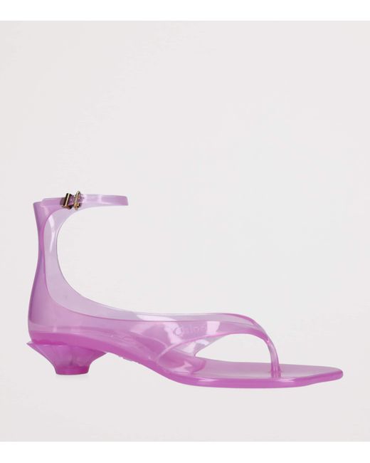 Chloé Purple Jelly Sandals 25
