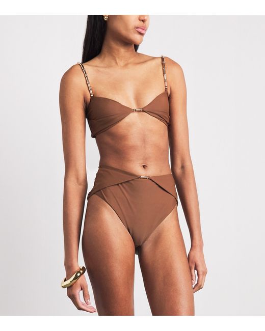 Devon Windsor Brown Draped Evalina Bikini Briefs