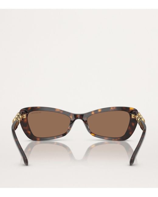 Swarovski Brown Acetate Sk6033 Sunglasses
