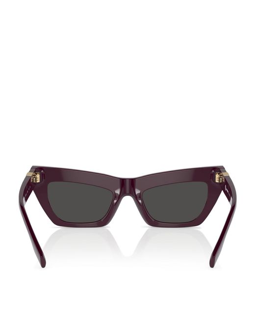 Burberry Brown Acetate Cat-eye Sunglasses