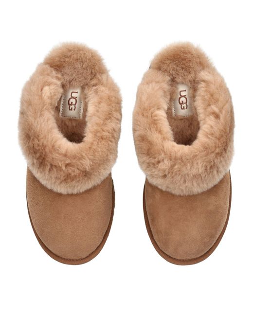 Ugg Brown Classic Ii Suede Slippers