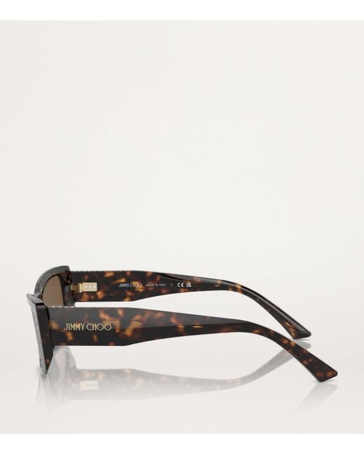 Jimmy Choo Brown Acetate Jc5002Bu Sunglasses