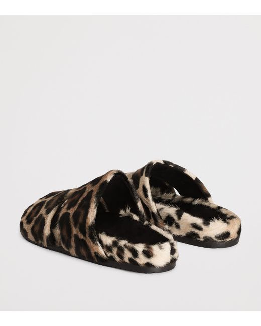 Dolce & Gabbana Brown Leather Leopard Print Slides for men