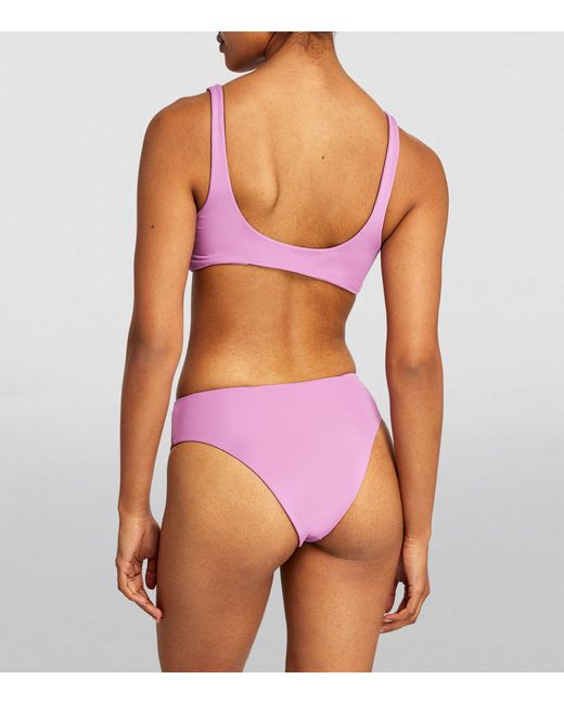Gottex Purple Reversible Au Naturel Bikini Top