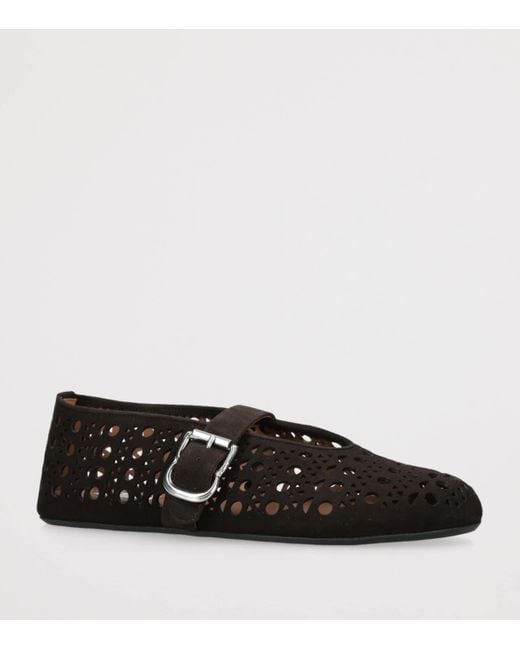 Alaïa Brown Suede Ballerinas