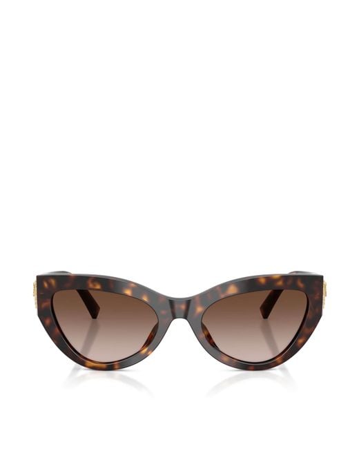 Dolce & Gabbana Brown Tortoiseshell Cat-Eye Sunglasses