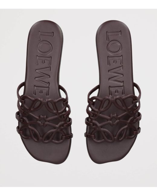 Loewe Brown Leather Petal Anagram Sandals
