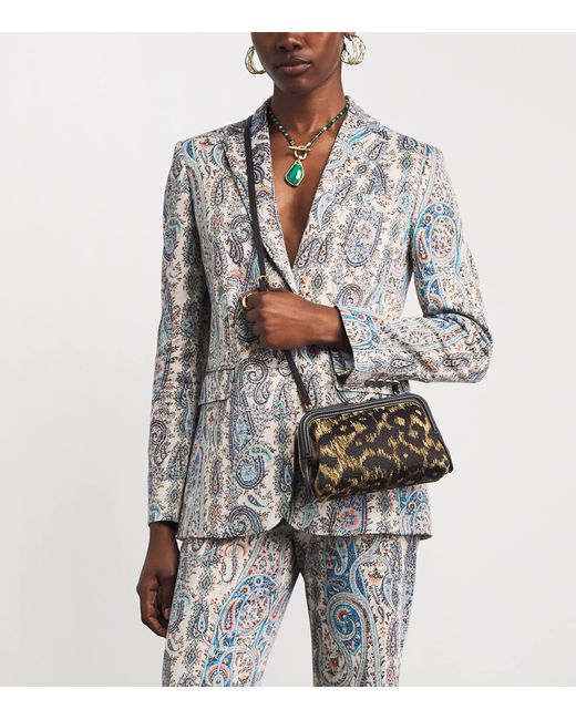 Etro Brown Raffia Embroidered Doc Cross-Body Bag