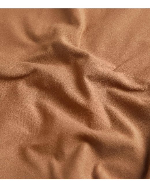 Chantelle Brown Softstretch Briefs