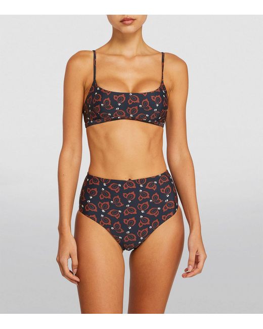Matteau Brown Casablanca Print High-waist Bikini Briefs
