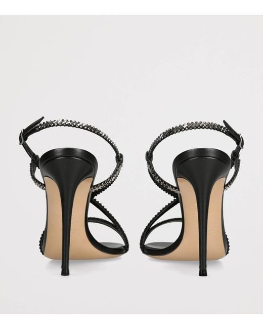 Casadei Black Leather Julia Josephine Heeled Sandals 110