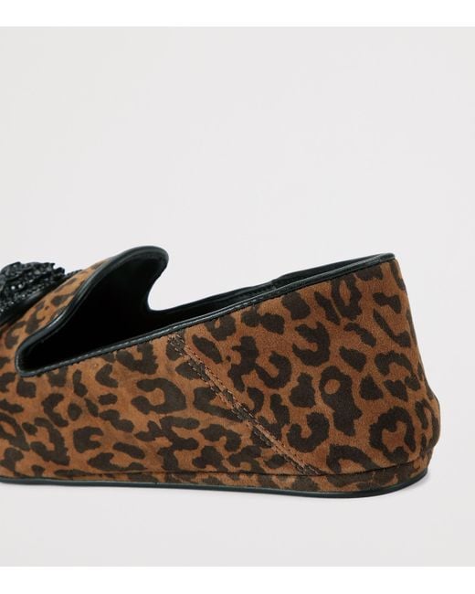 Kurt Geiger Brown Suede Chelsea Point Loafers