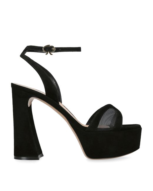 Gianvito Rossi Black Mesh And Suede Platform Sandals 105