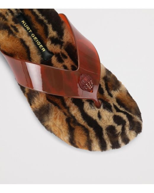 Kurt Geiger Brown Eagle Flip Flops