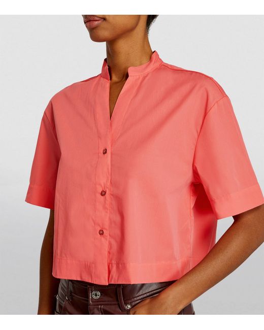 MAX&Co. Red Cotton Poplin Cropped Shirt
