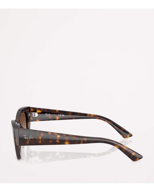 Ray-Ban Brown Rb4430 Zena Sunglasses