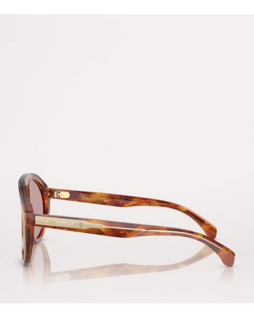 Moncler Brown Acetate Fhaite Me6001 Sunglasses