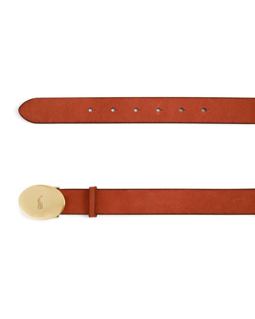 Polo Ralph Lauren Brown Leather Oval-buckle Belt