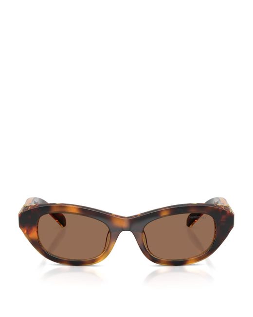 Swarovski Women's Brown Propionate Sk6036U Sunglasses