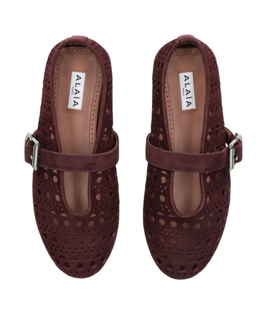 Alaïa Brown Suede Vienne Ballet Flats