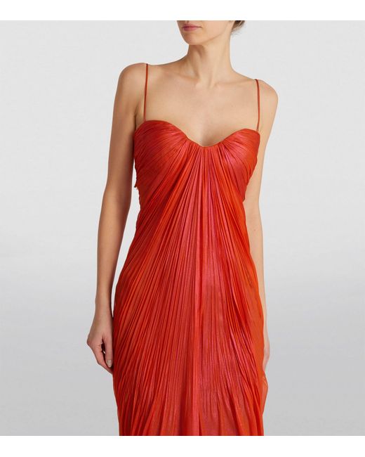 Maria Lucia Hohan Red Victoria Gown