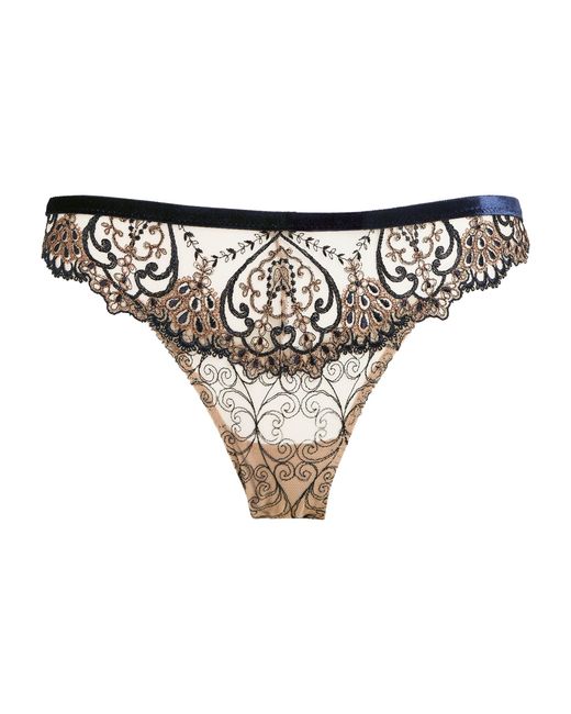 Aubade Lace Couers Elancés Briefs in Navy (White) | Lyst